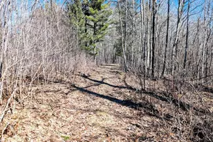 17341 Co Hwy M, New Auburn, WI 54757 - Photo 36