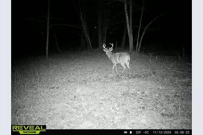 000 Granton Road, Neillsville, WI 54456 - Photo 24