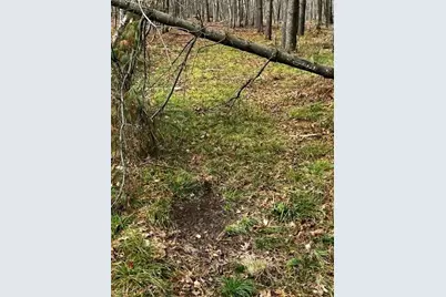 000 Granton Road, Neillsville, WI 54456 - Photo 6