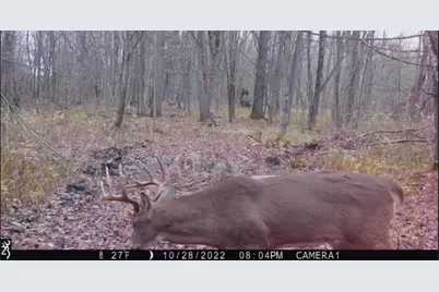 000 Granton Road, Neillsville, WI 54456 - Photo 8