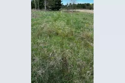 000 Granton Road, Neillsville, WI 54456 - Photo 16