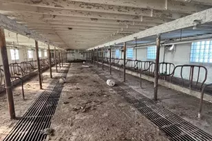 N41286 Halama Rd, Independence, WI 54747 - Photo 36