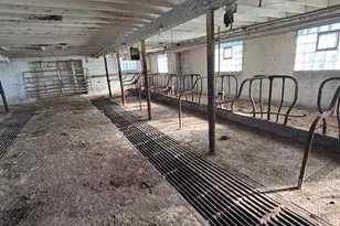 N41286 Halama Rd, Independence, WI 54747 - Photo 38