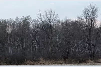 1563 Helena Drive, Holcombe, WI 54731 - Photo 32