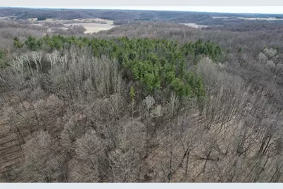 10 Ubel Drive, Knapp, WI 54749 - Photo 10