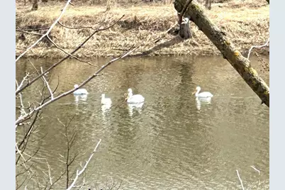 N4548 County Road N, Arkansaw, WI 54721 - Photo 4