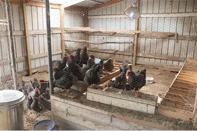 N34161 Glenville Lane, Blair, WI 54616 - Photo 46