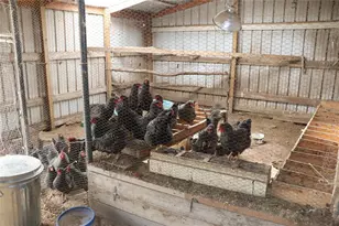 N34161 Glenville Ln, Blair, WI 54616 - Photo 46