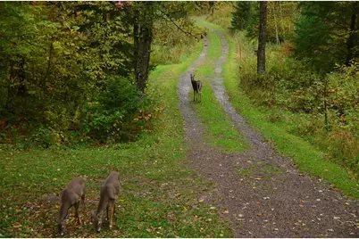 15594 W Deer Lane, Birchwood, WI 54817 - Photo 4