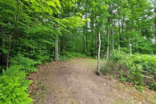 1388 W Town Hall Rd, Springbrook, WI 54875 - Photo 54
