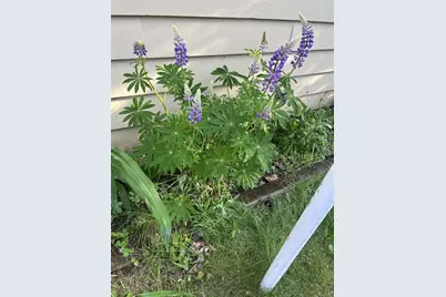 1104 Garfield Avenue, Altoona, WI 54720 - Photo 40