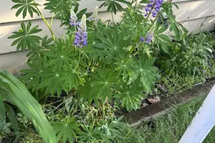 1104 Garfield Ave, Altoona, WI 54720 - Photo 40