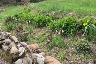 S9220 Hillview Rd, Fall Creek, WI 54742 - Photo 16