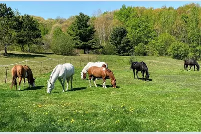 S9220 Hillview Road, Fall Creek, WI 54742 - Photo 28