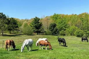 S9220 Hillview Rd, Fall Creek, WI 54742 - Photo 28