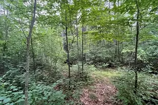 16876 Southview Trl, Stone Lake, WI 54876 - Photo 12