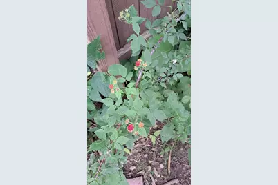 [Address not provided], Menomonie, WI 54751 - Photo 22