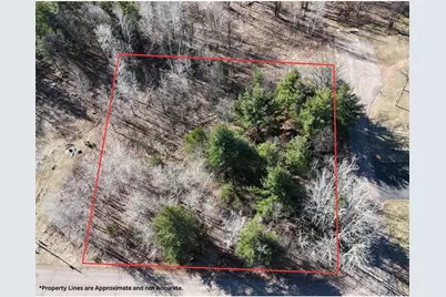 1.06 Acre On 297th Avenue, Holcombe, WI 54745 - Photo 2