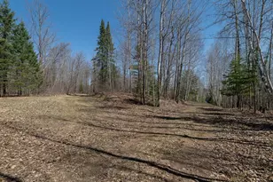 7258N Knowles Rd, Winter, WI 54896 - Photo 54