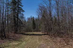 7258N Knowles Rd, Winter, WI 54896 - Photo 36