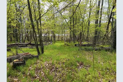 15051 S Thorn Lake Loop Loop, Gordon, WI 54838 - Photo 8