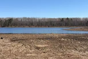 15051 Thorn Lake Loop Loop, Gordon, WI 54838 - Photo 10