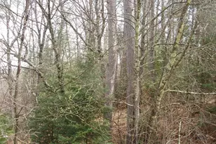 W9798 Fleming Rd, Park Falls, WI 54552 - Photo 14