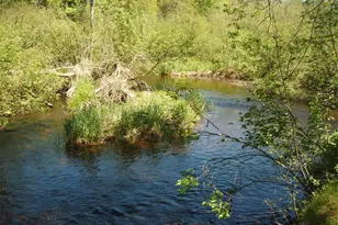 W9798 Fleming Rd, Park Falls, WI 54552 - Photo 52