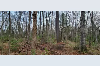 9000 Forest Road #163, Butternut, WI 54514 - Photo 38