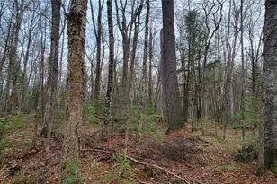 9000 Forest Rd, Butternut, WI 54514 - Photo 38