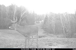W6283 Co Rd I, Ladysmith, WI 54848 - Photo 54