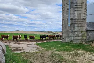 E12088 Cty Rd K, Augusta, WI 54722 - Photo 10
