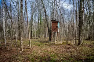 7465 Barker Lake Rd, Winter, WI 54896 - Photo 14