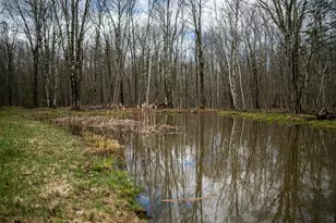 7465 Barker Lake Rd, Winter, WI 54896 - Photo 12
