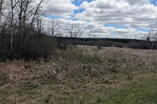 23505 State Hwy 27, Holcombe, WI 54745 - Photo 34
