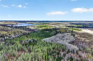 8225 Blaisdell Lake Rd, Winter, WI 54896 - Photo 54