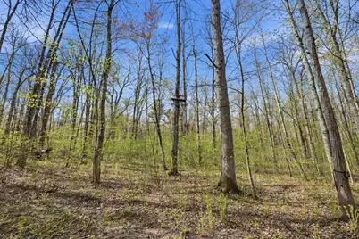 N1520 Hollow Road, Wilson Township, WI 54768 - Photo 40