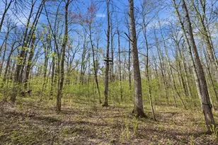 N1520 Hollow Rd, Wilson Township, WI 54768 - Photo 40