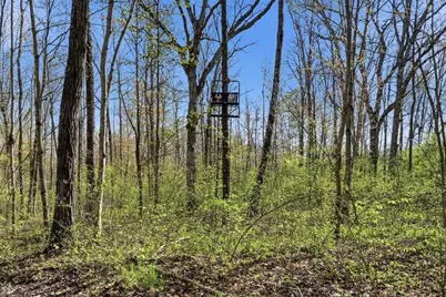 N1520 Hollow Road, Wilson Township, WI 54768 - Photo 38
