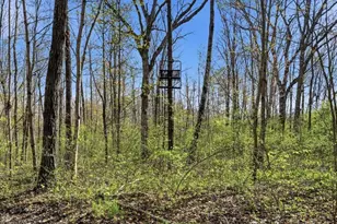N1520 Hollow Rd, Wilson Township, WI 54768 - Photo 38