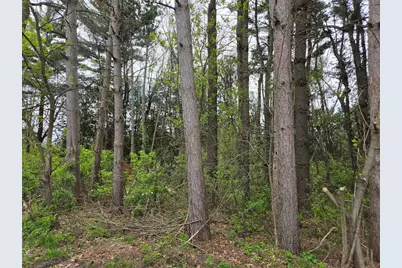 100 Locust Street, Hixton, WI 54635 - Photo 36