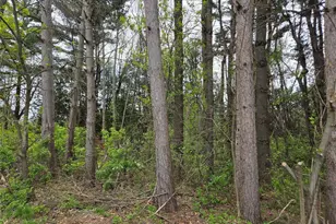 100 Locust St, Hixton, WI 54635 - Photo 36