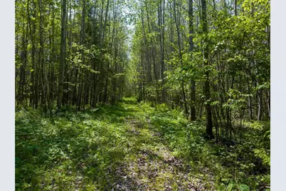 14195 County Highway M, Cable, WI 54821 - Photo 2