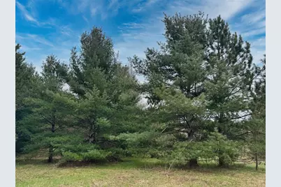 Lot 3 (5 Acres) On County Rd P, Lake Nebagamon, WI 54849 - Photo 18