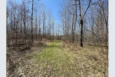W9793 Dankes Road, Phillips, WI 54843 - Photo 1