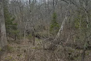 8644 Lumbard Ln, Springbrook, WI 54875 - Photo 30