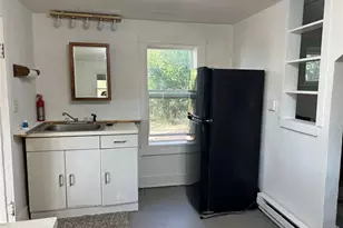 203 Dallas St, Dallas, WI 54733 - Photo 44