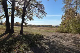 203 Dallas St, Dallas, WI 54733 - Photo 50