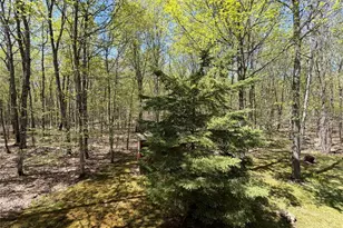 11263 Songbird Ln, Hayward, WI 54843 - Photo 54