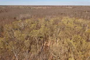 15138 Crotte Brook Trail, Dairyland, WI 54830 - Photo 34